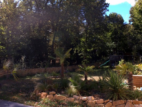 Jardin avec son massif tropical