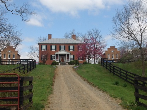 Main B&B