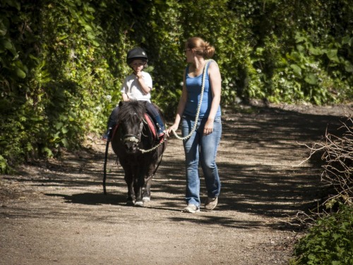Horse riding and other activities available locally.