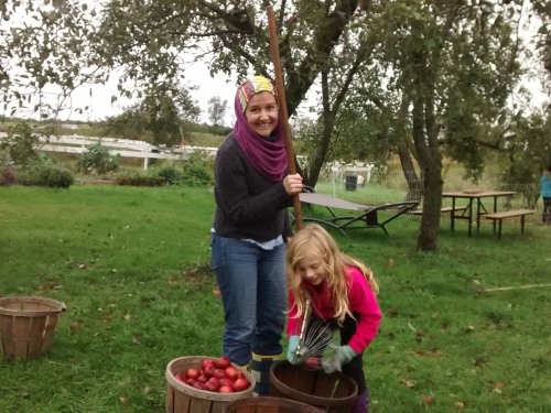 Picking apples on a crisp fall afternoon.