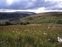 Parc Naturel Régional Livradois-Forez