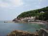 Babbacombe Palms,
Torquay,
Devon