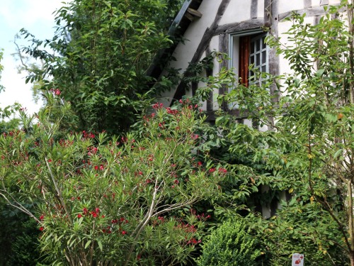 Extérieur du Manoir