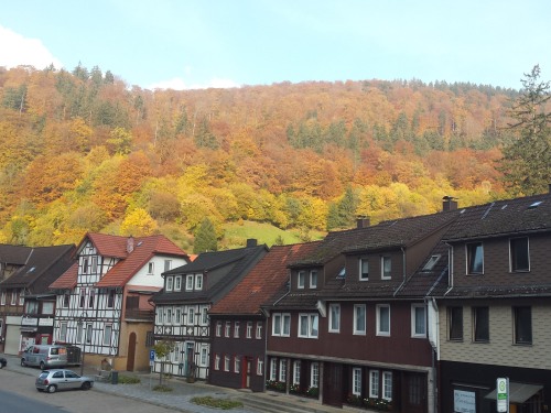 Wald