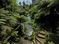 <font color="#1A5707">The Lost Gardens of Heligan - 8.5 Miles (13.6 Km)