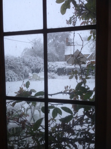 Snow view through the window
