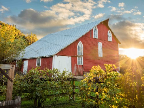 Big Red Barn at Galena Cellars Vineyard & Winery