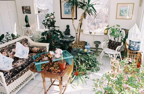 Sun Room for serving tea