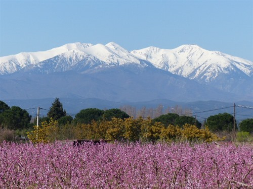 De la grande suite "TOSCANE" on aperçoit le Canigou ( Montagne sacrée des Catalans).