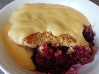 Miss Hilda's Homemade Fruit Crumble with custard (Chef Special).