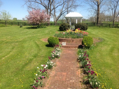 Gazebo
