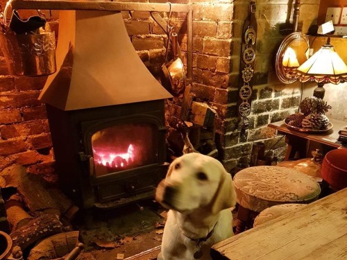 Our dog friendly bar is very popular and you can dine in this area as well as Snug and Garden rooms