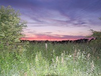 Shepherds Hut About Us & History