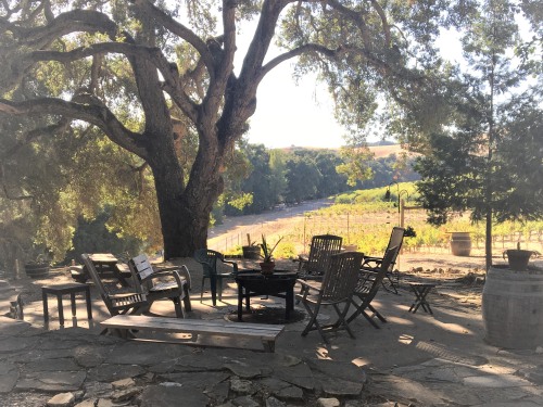 Fire pit and area for relaxing under the oaks with fantastic vineyard views.