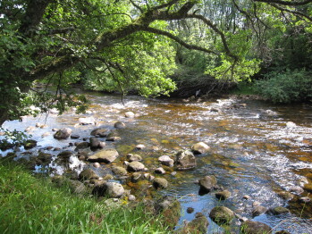 Dalrachney Lodge, Carrbridge | Homepage