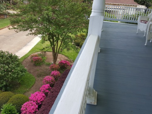 View of Gardens from balcony outside the Blue Guest Room