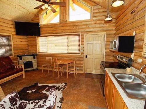 North cabin living room & kitchen