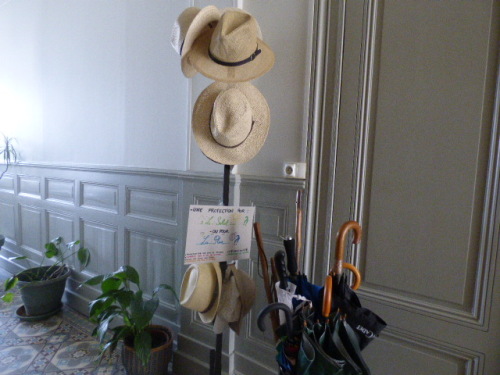 Protection pour le soleil... ou pour la pluie !