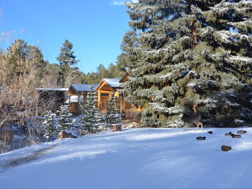 The Cabins at Country Road