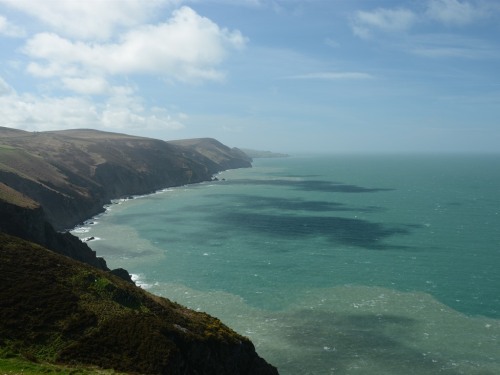 View from South West Coast Path