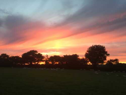 Sunset on the Farm.