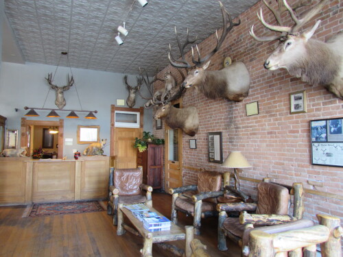 When you first enter the Meeker Hotel you are greeted by trophy mounts on display in our lobby.