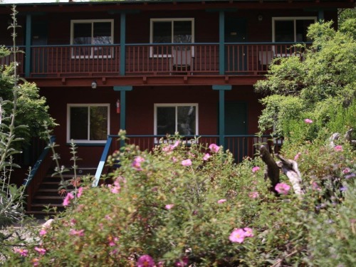 The property is surrounded by beautiful native wildflowers and plants!