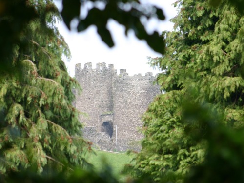 Town Walls From Guest House