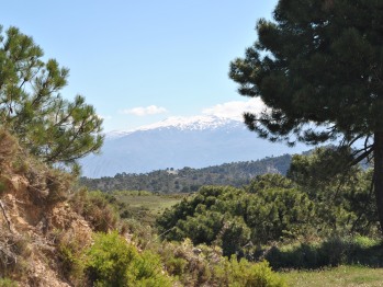 view of the Sierra Nevada