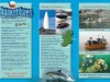 Activity - Scubadiving Brochure Aquaventures