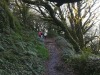 Activity - Walk at Lough Hyne through Knockomagh Woods