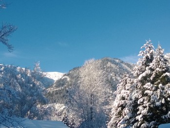 Mountain View-Winter