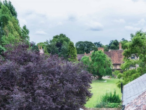 View over Halls Croft garden