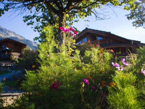 fleurs estivales autour des chalets