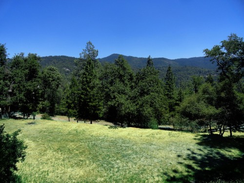 Evergreen Haus - Yosemite Lodging - Mountain View