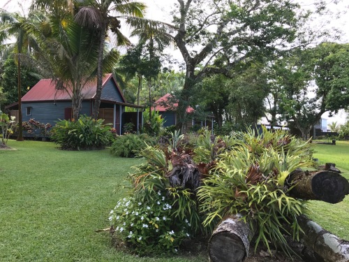 Bejis'art et les bungalow