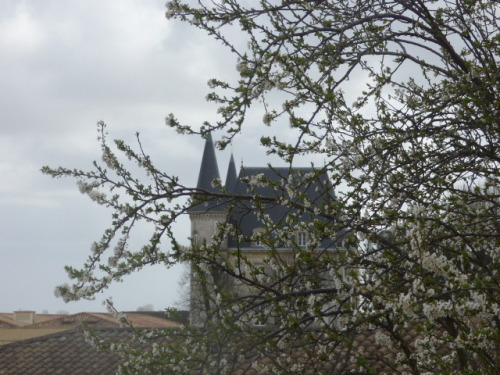 Vue de la fenêtre de l'étage sur le Château Pichon Baron