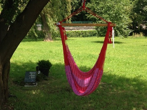 Dans le jardin coté entrée
