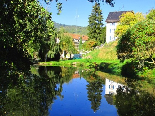 Maison Bellevue - Munster - Alsace- France