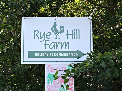 Sign to Rye Hill Farm at road in