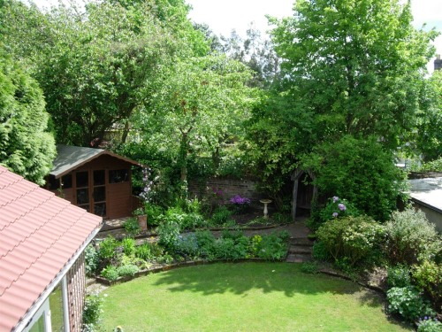 Back garden