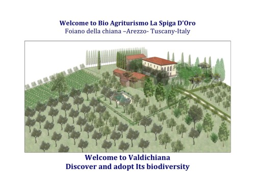 Render La Spiga d'Oro organic farm- Adopt art and Biodiversity